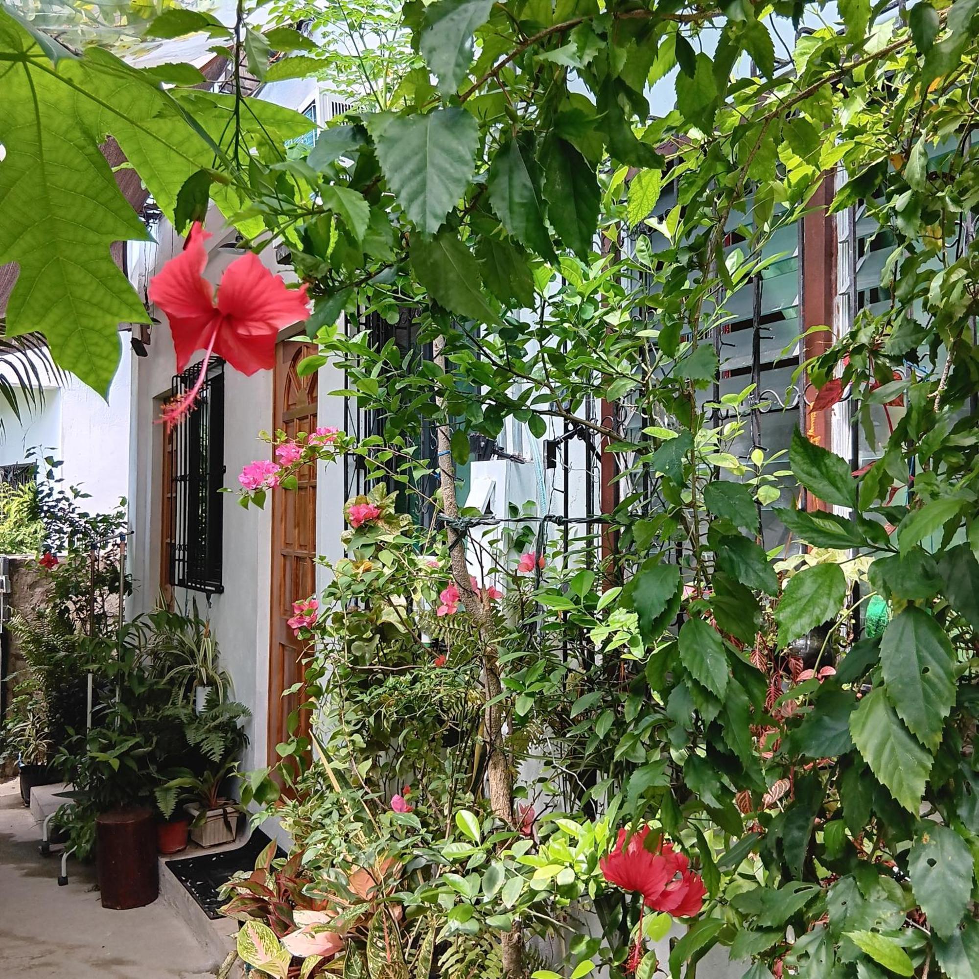 Susing Seaside Guesthouse Моалбоал Екстериор снимка
